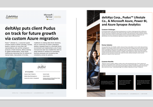 BI & Big Data Consulting & SI Package Example: Pudus Digital Transformation Journey