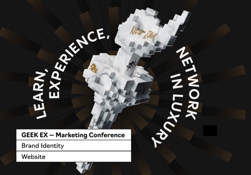 Branding Package Example: Geek EX — Brand Identity and Website Design