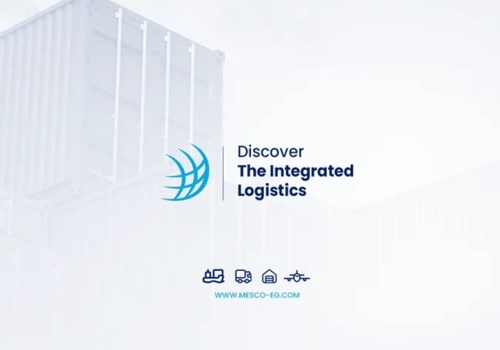 Web Development Package Example: Mesco Website