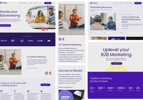 Web Design Package Example: TopRank Marketing – Transforming Digital Presence