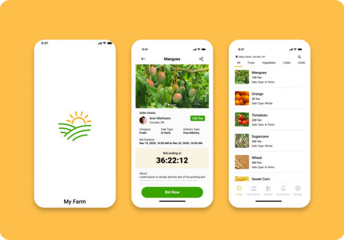 Mobile App Development Package Example: Mazady