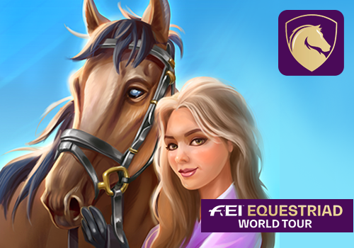 Mobile App Development Package Example: Equestriad World Tour