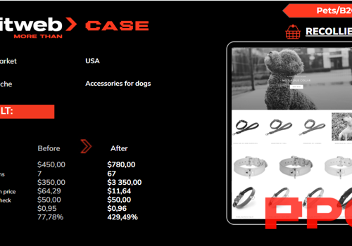 Pay Per Click Package Example: Boosting Re'Collier with Elit-Web's Targeted PPC