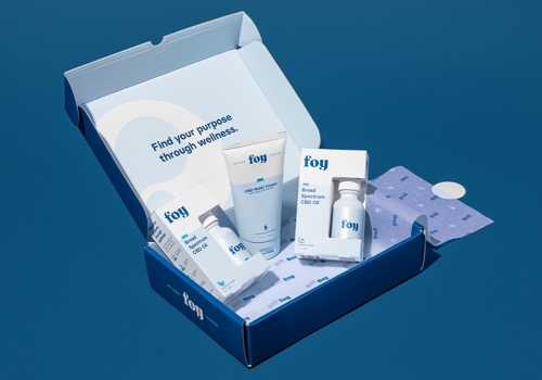 Branding Package Example: Foy