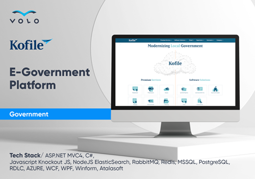 Custom Software Development Package Example: American E-Government Platform