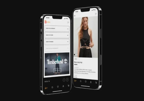 Web Development Package Example: E-commerce solution for the largest shopping mall
