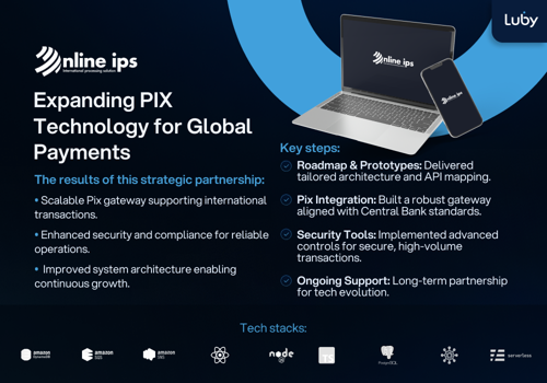 Custom Software Development Package Example: Online IPS: Paymets technology beyond borders