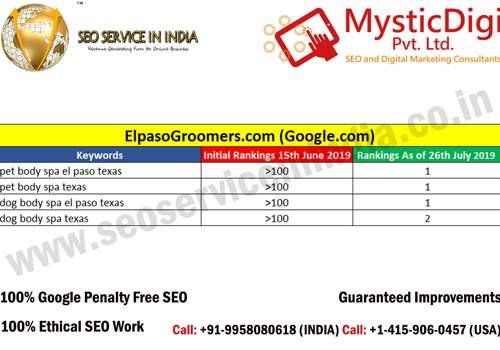 Pay Per Click Package Example: Elpaso Groomers - SEO Rankings