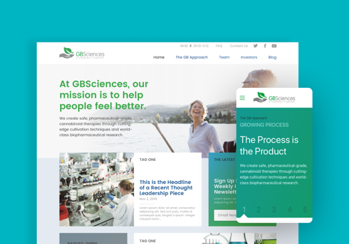 UX/UI Design Package Example: Transforming Cannabinoid Science with GB Sciences