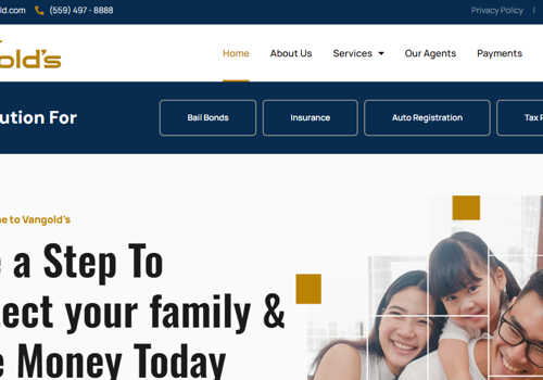 Web Design Package Example: Van Golds Website Design