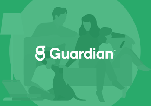 Pay Per Click Package Example: Insurance PPC Advertising