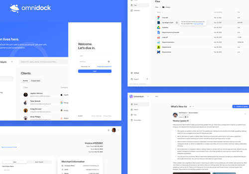 Web Design Package Example: Client Portal for Dev Agencies