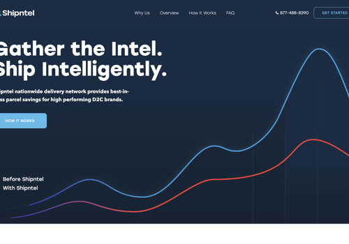 Web Design Package Example: Shipntel