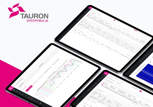 Custom Software Development Package Example: Tauron