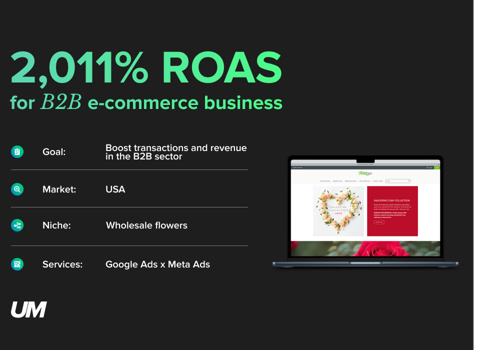 Ecommerce Marketing Package Example: 2011% ROAS | Google Ads x Facebook Ads