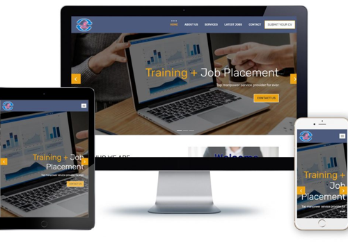 Web Development Package Example: The IT Infotech
