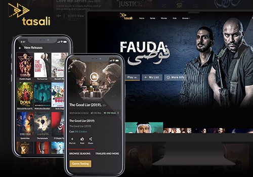 Web Development Package Example: Tasali - Custom content streaming platform