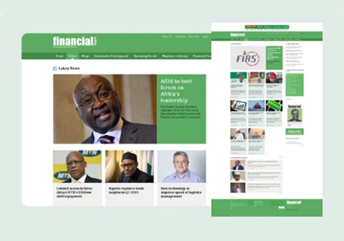 Custom Software Development Package Example: Financial Nigeria - Finance journal and Blog