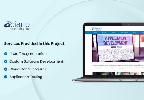 IT Staff Augmentation Package Example: Macrosoft - IT Staff Augmentation