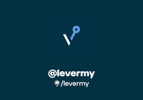 Web Development Package Example: Levermy