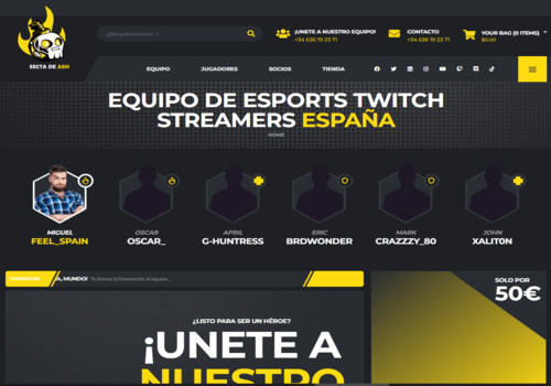 Web Design Package Example: Secta de Ash