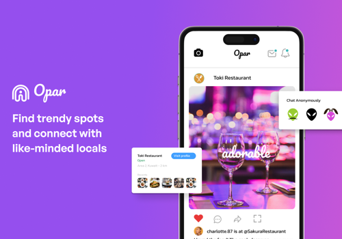 UX/UI Design Package Example: Opar