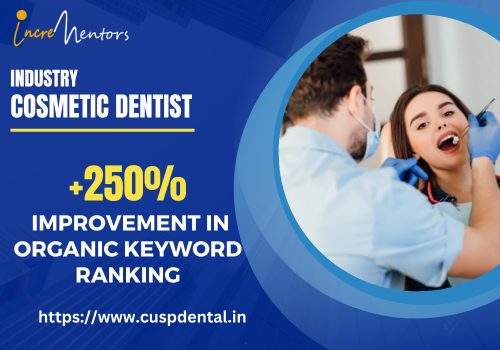 Search Engine Optimization Package Example: Comprehensive SEO Audit and Strategy Plan