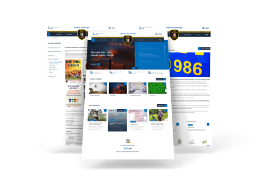 Web Design Package Example: SM Gliwice - Dedicated Company Website Wordpress