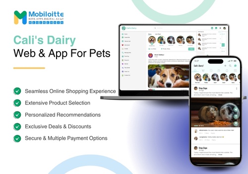 Mobile App Development Package Example: Social media Application for pets