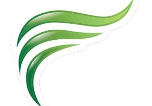 Pay Per Click Package Example: AUS Hair