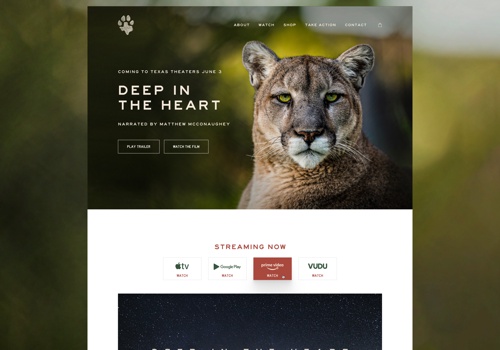 Web Design Package Example: Deep in the Heart Website