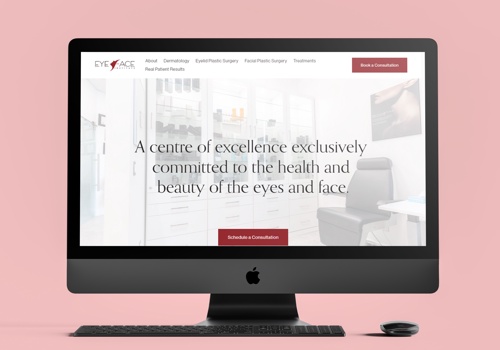 Web Design Package Example: EYE FACE INSTITUTE WORDPRESS WEBSITE DEVELOPMENT