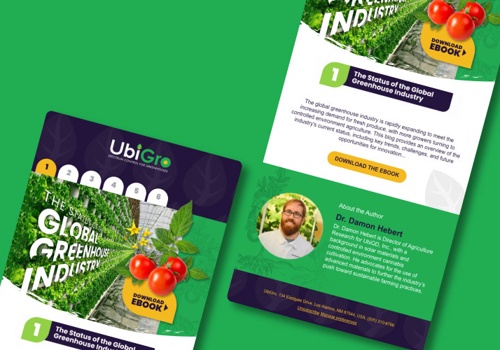 Digital Strategy Package Example: Ubigro Social Media