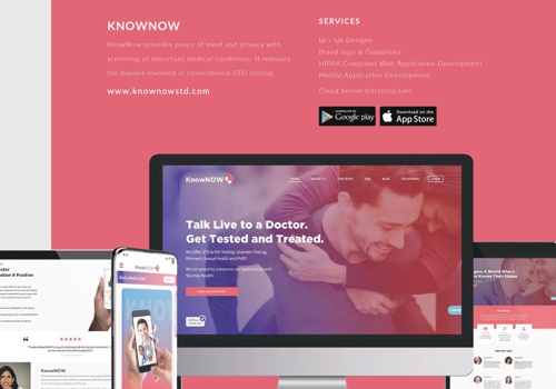 Web Development Package Example: KnowNOW Health Solutions