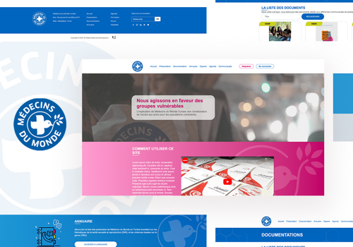 Web Development Package Example: Website Design & Development - Médecins du monde