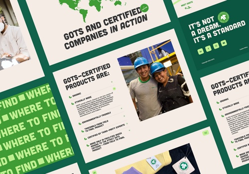 Web Design Package Example: storytelling website for GOTS