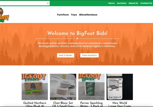 Web Design Package Example: Bigfoot Bids