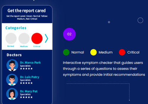 Custom Software Development Package Example: AI Healthcare Service