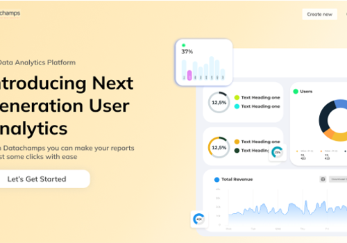 Custom Software Development Package Example: Datachamps - CFO Dashboarding platform