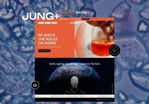 Web Development Package Example: Shopify Custom Development for Jung