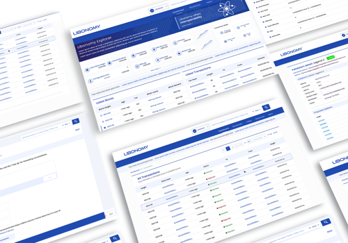 UX/UI Design Package Example: Libonomy Explorer