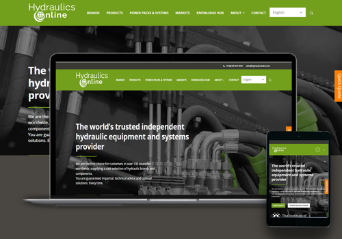 E-Commerce Development Package Example: WordPress Theme Install