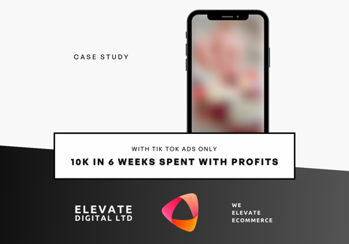 Social Media Marketing Package Example: Profit from $10k TiKToK ad spend in 6 weeks