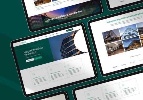 Branding Package Example: Halored branding and website