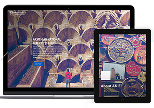Web Design Package Example: ARMENIAN NATIONAL INTERESTS FUND