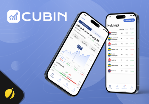 UX/UI Design Package Example: Cubin