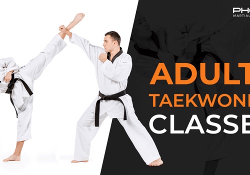 Web Design Package Example: Martial Arts Australia