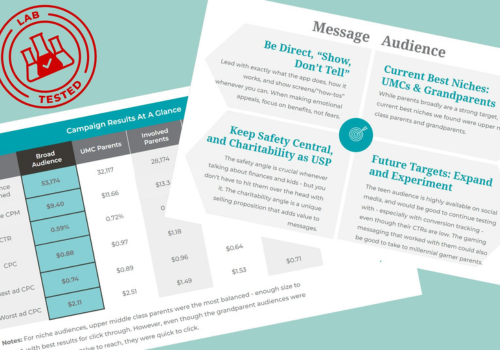 Marketing Strategy Package Example: MessageLab