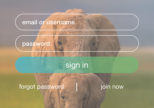 Mobile App Development Package Example: Earfh - Social Media Application Development