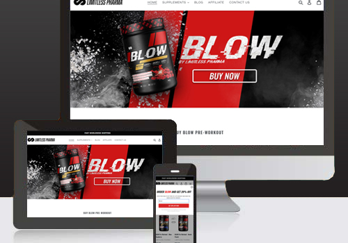 Web Development Package Example: Web develop and Digital Marketing for Limitless Pharma